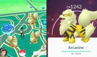 Shiny Growlithe and Arcanine as they appear in Pokemon GO (Image via Niantic/Daily Express)